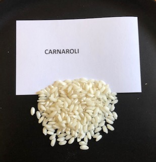 Carnaroli Rice closeup