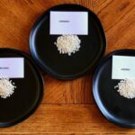 3 types of rice
